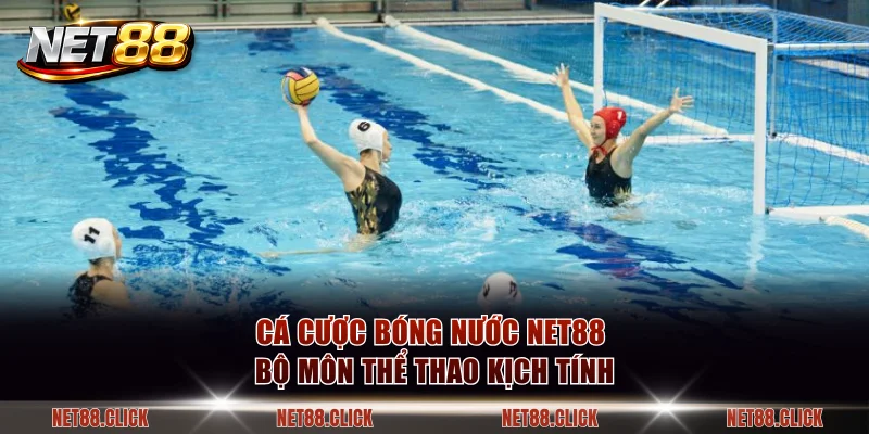 Cá cược bóng nước